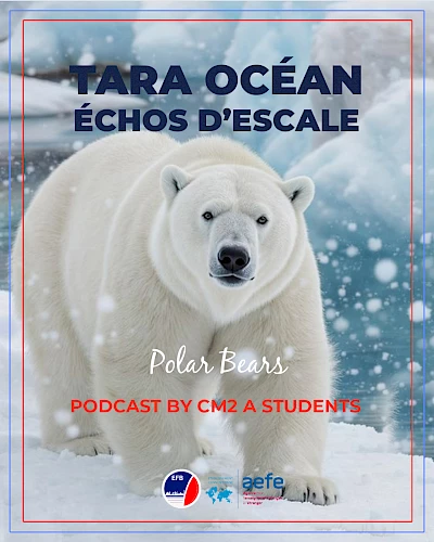 Échos d’escales : Podcast CM2 A, épisode 2