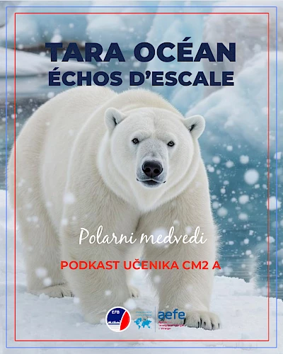 Échos d’escales : Podcast CM2 A, épisode 2