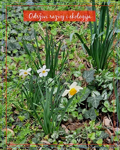 EDD Ma petite planète