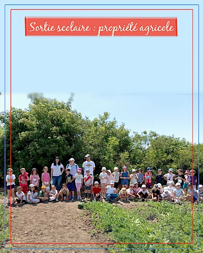 Sortie scolaire : propriété agricole